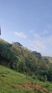 Conforto dos Pandas - 9