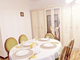 Spacious 3 rooms 5* mansion near Muzeului square. Free parking - Cluj-Napoca - 6