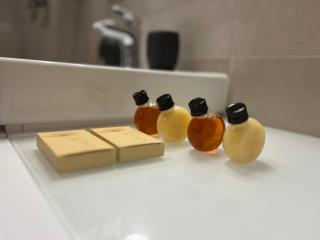 Apartmán pod Špičákem - Smržovka - 4