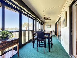 Riverfront views Watch the dolphin play in this Riverfront Bouchelle Condo ~ 462 Bouchelle 202 - New Smyrna Beach - 8