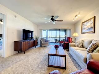 Riverfront views Watch the dolphin play in this Riverfront Bouchelle Condo ~ 462 Bouchelle 202 - New Smyrna Beach - 6