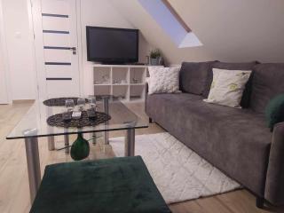Apartment/mieszkanie u Janusza - 9