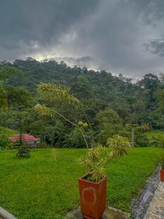 Casa en la naturaleza - Pereira - 7