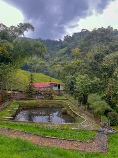 Casa en la naturaleza - Pereira - 6