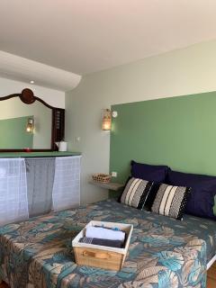 Sous les tropiques - 4