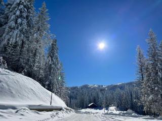 Zjsxx - Jahorina - 0