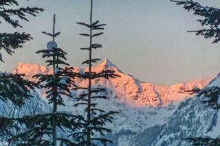 SnowTop Manor - Snoqualmie Pass - 1