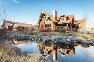 South Fork Sanctuary - 0