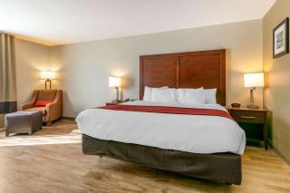 Comfort Inn & Suites Van Buren - Fort Smith - Van Buren - 3
