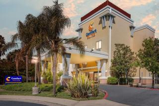Comfort Suites Vacaville-Napa Valley Area - Vacaville - 8
