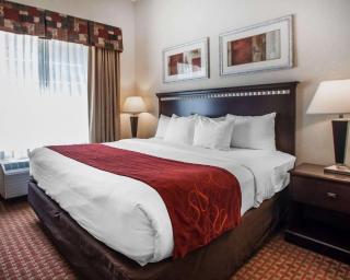 Tapa Hotel, Inn & Suites - Mahwah - 7