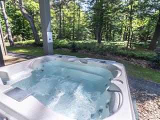 Lodge avec bain à remous privatif, proche du golf et piscine réservée - Confort et activités garanties - FR-1-582-373 - Le Chambon-sur-Lignon - 3