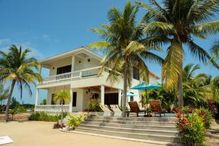 Island Time Gecko - Placencia - 6