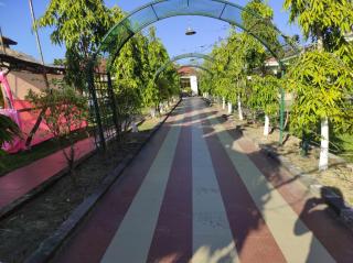 Patkai Resort - Tinsukia - 6