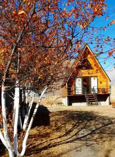 Thomas' Hut - Kasbegi - 6
