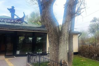 City Haven Retreat - Almaty - 2