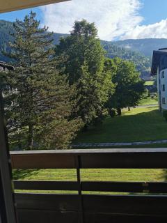 Feel good Apartment - Bad Kleinkirchheim - 2