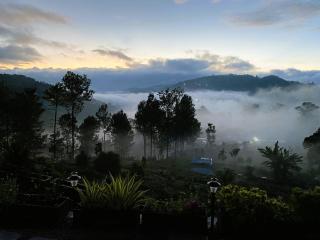 SilverOak B&B - Coonoor - 1
