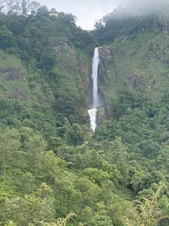 SilverOak B&B - Coonoor - 5