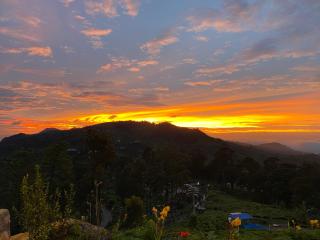 SilverOak B&B - Coonoor - 6