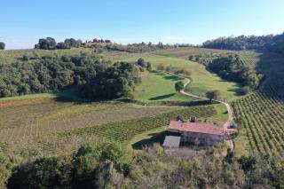 Palladio Vineyard - Vicenza - 5