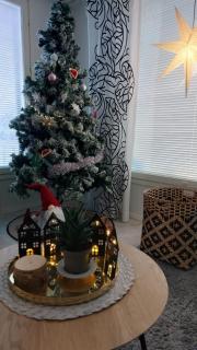 Nordic Style Home, 2 bedroom - Rovaniemi - 5