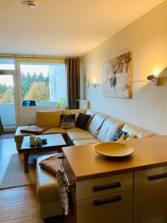 Komfort Ferienwohnung Wunder - Hahnenklee-Bockswiese - 1