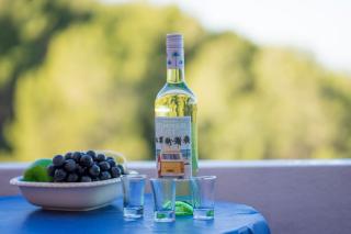 SVEMA APARTMAN - Vela Luka - 4
