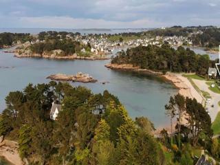 Appartement au RDC avec accès direct plage, parking et WIFI à Trégastel - FR-1-368-45 - 2