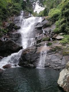 Chalet in the Jungle - 1