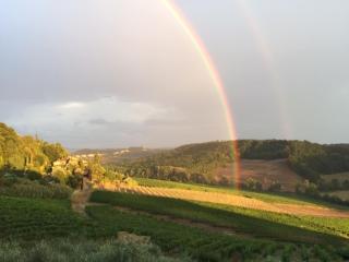 Casa Natura - San Gimignano - 9