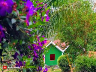 Elenor Cottages - Santhanpara - 5