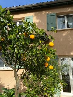 Le Relais des Malettes Chambres d'hôtes B&B - Francheville - 5