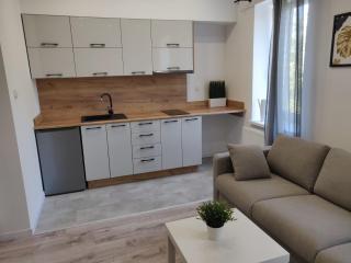 Konopnickiej 9 Studio z antresolą PTAK, Orientarium, Atlas ARENA, Szpital, Mandoria, Fala, Centrum Zdrowia Matki Polki, Rodzina, Family, bezpłatny parking - Pabianice - 8