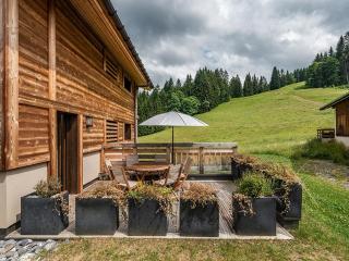Appartement 3 Pièces + Cabine, 6 Pers, Terrasse Sud/Est, Proche Pistes, Garage, Wi-Fi - FR-1-671-106 - Les Gets - 7
