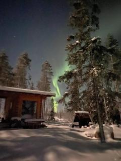 Wilderness Cabin Onnela with sauna - Rovaniemi - 8