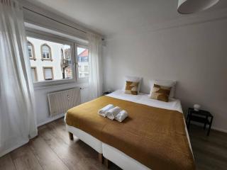 Logement familial/ Orangerie - Strasburgo - 2