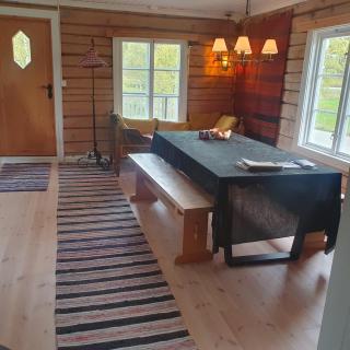 Brekkveien 81-meget sentral hytte,15 min å gå til Røros sentrum - Røros - 3