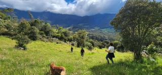 Tybyn Geo Lodge - Arcabuco - 1