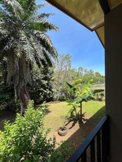 Casa Palmera - Puntarenas - 8