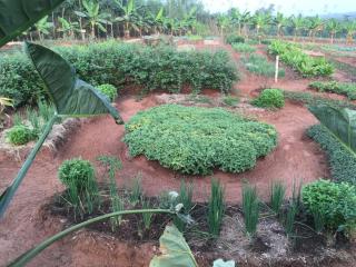 Plaisirs campagnards de Glo Djgbé - - 0