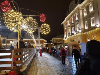 Poppy Flower Apartment - 4