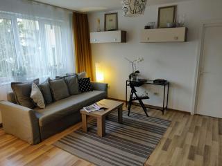 Cosy Home! Perfect for visiting Cluj - Cluj-Napoca - 7