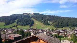 13 beds with Sauna - Morzine - easy walk to centre - Morzine - 9