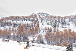 Cosy/familiale/Front de neige - Isola 2000 - 5