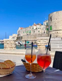 VILLA TERESA IRIS e VILLA TERESA IBISCO - Giovinazzo - 8