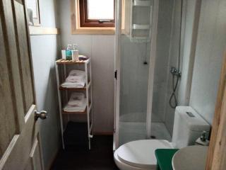 Linda Cabaña pet friendly a orilla rio y bosque, cerca Termas - Panguipulli - 4