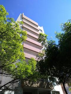 Hermoso, céntrico y luminoso full. - La Plata - 9