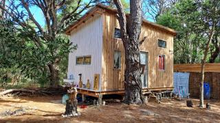 Mi pequeño Santuario - 8