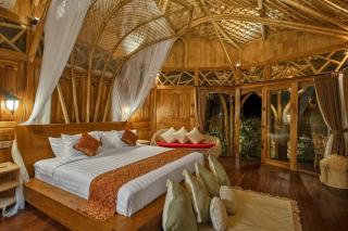 Arapan Ubud Eco Villa - 2